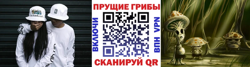 сайты даркнета телеграм гидра как войти Иноземцево Галлюциногенные грибы ЛСД
